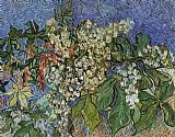 Vincent van Gogh Blossoming Chestnut Branches painting